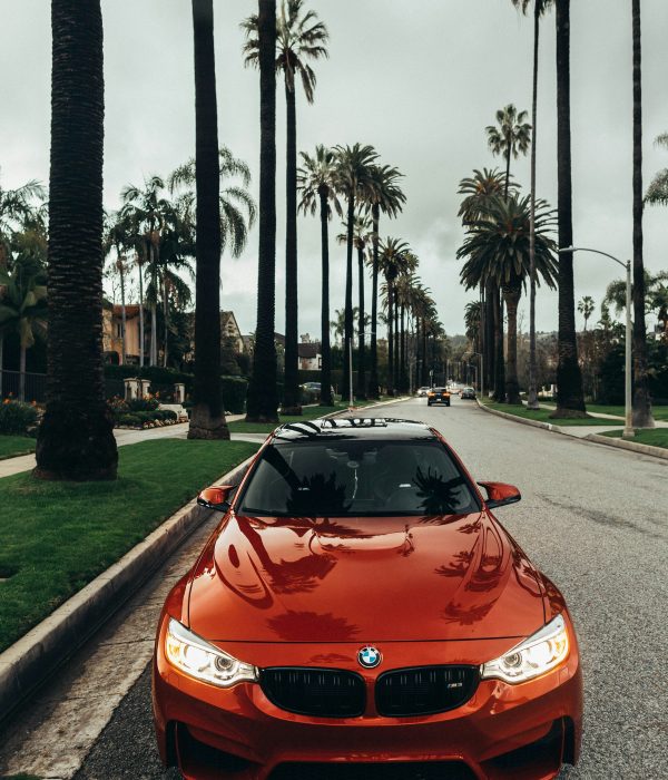Which car features are worth the extra cost?