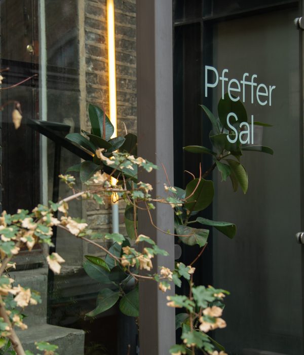Salon Review: Pfeffer Sal – The Three Sixty Facial | Fitrovia | London